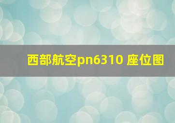 西部航空pn6310 座位图